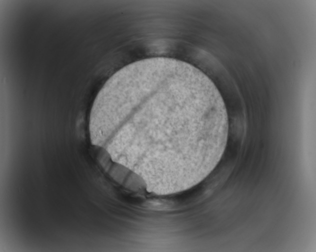 X0000088450557200706191313