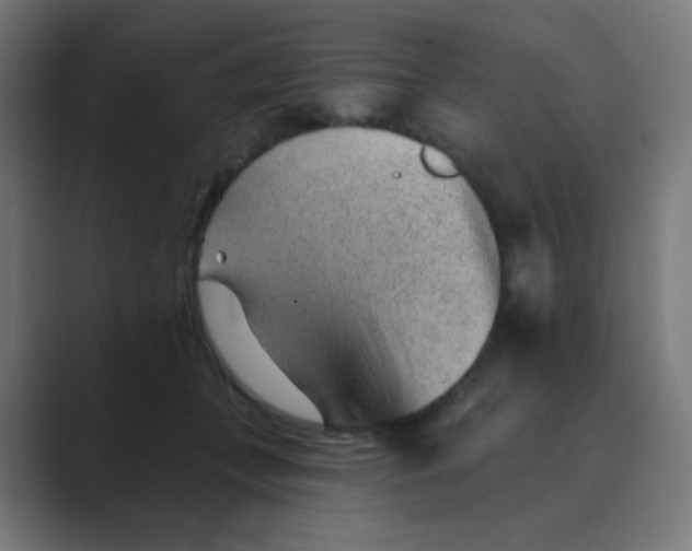 X0000088450559200706191313