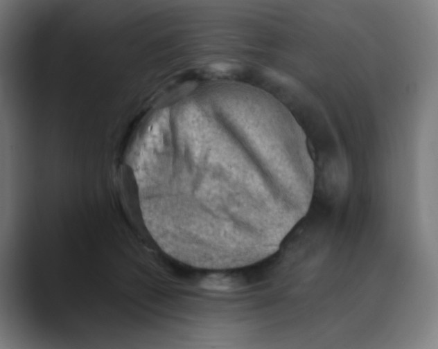 X0000088450562200706191313