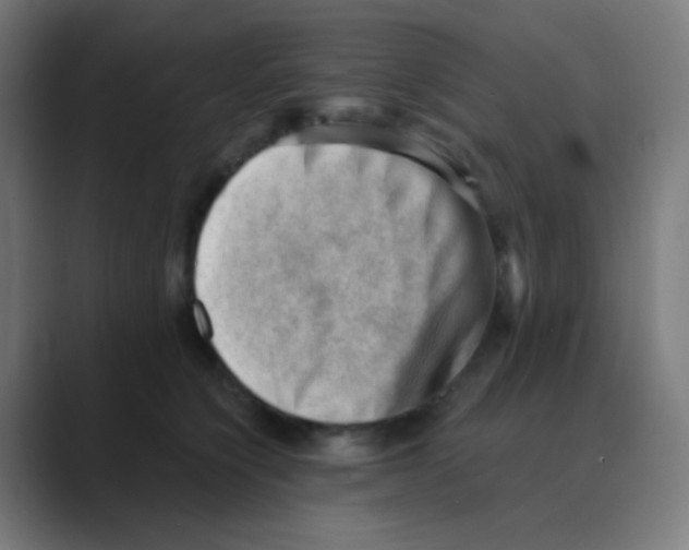 X0000088450564200706191313