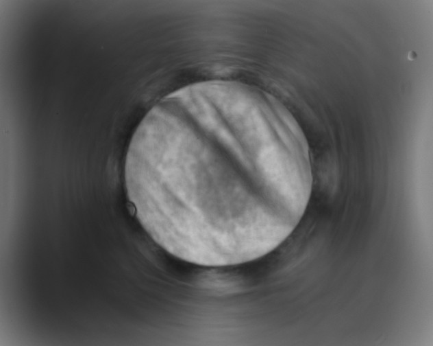 X0000088450568200706191313
