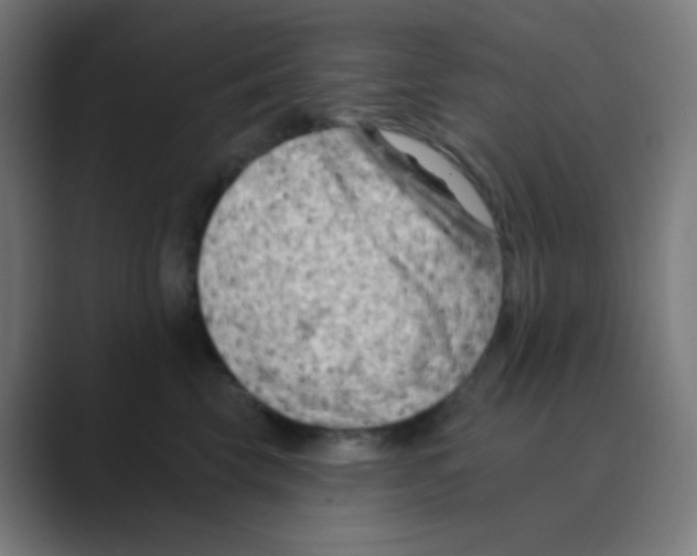 X0000088450569200706191313