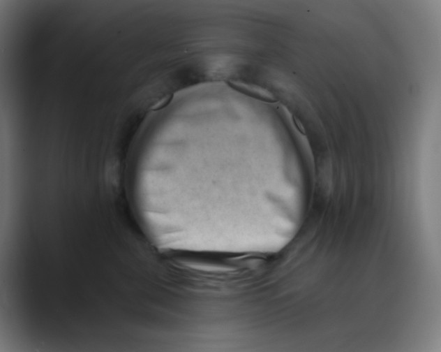 X0000088450571200706191313
