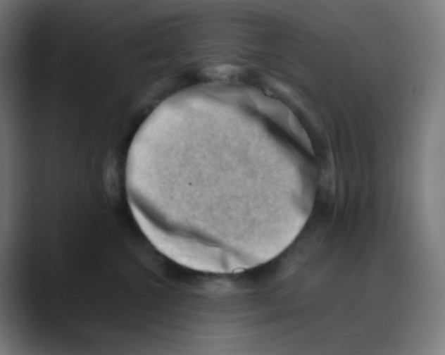 X0000088450572200706191313