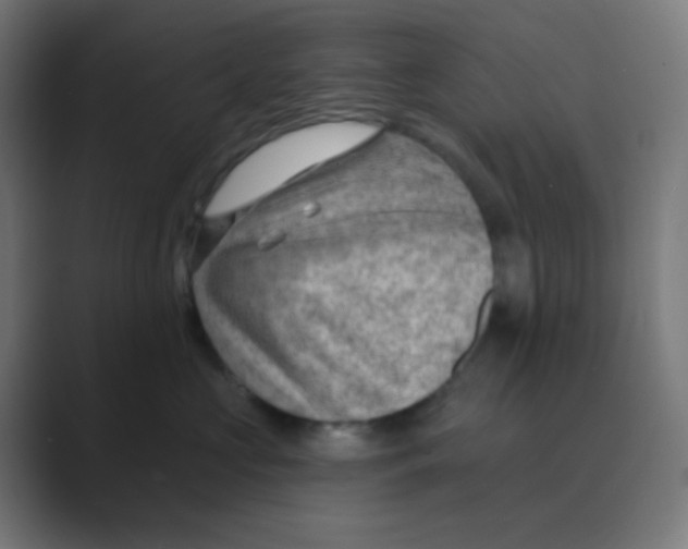 X0000088450573200706191313