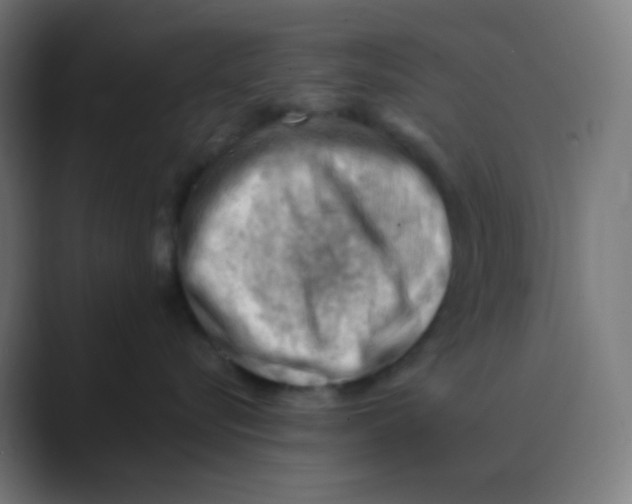 X0000088450576200706191313