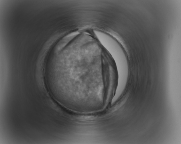X0000088450577200706191313