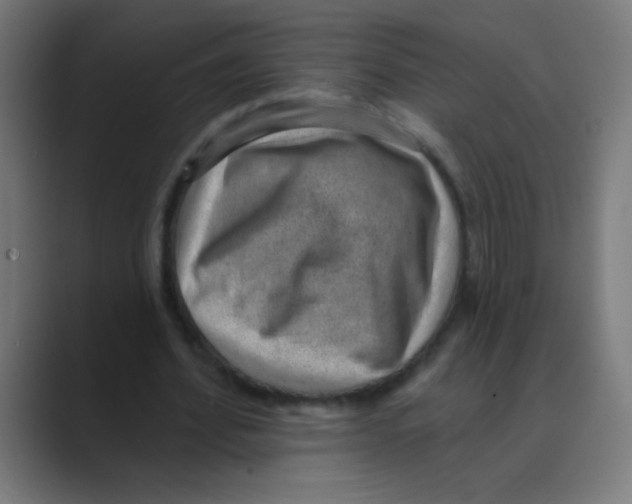X0000088450580200706191313