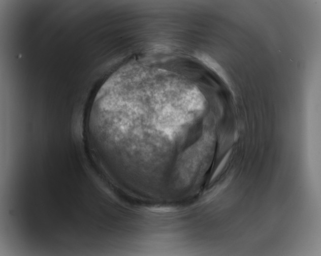 X0000088450581200706191313