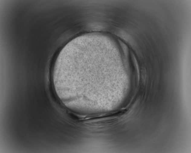 X0000088450582200706191313