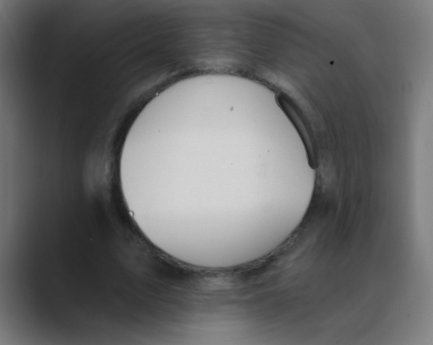 X0000088450583200706191313