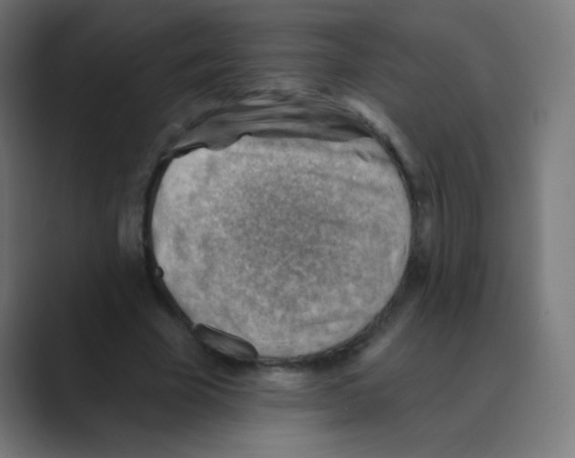 X0000088450585200706191313