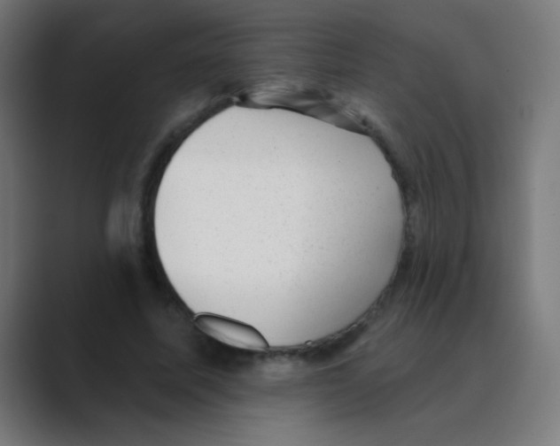 X0000088450587200706191313