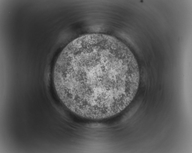 X0000088450590200706191312