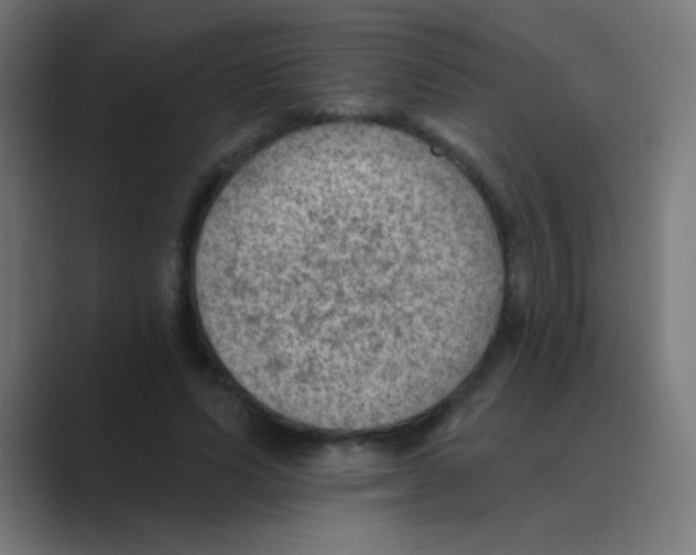 X0000088450591200706191312