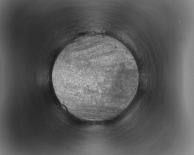 X0000088450593200706191312