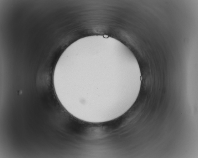 X0000088450595200706191312