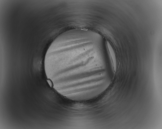X0000088450596200706191312