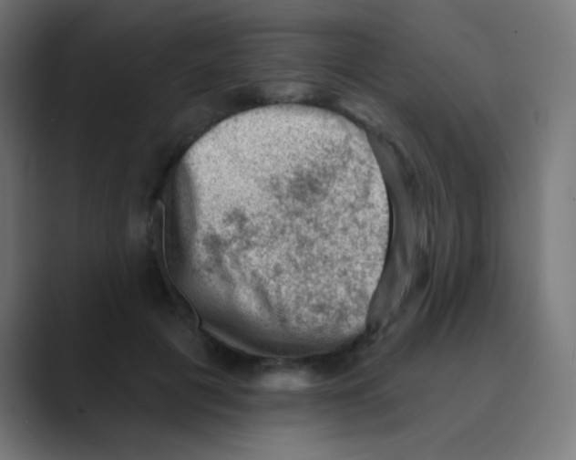 X0000088450601200706191312