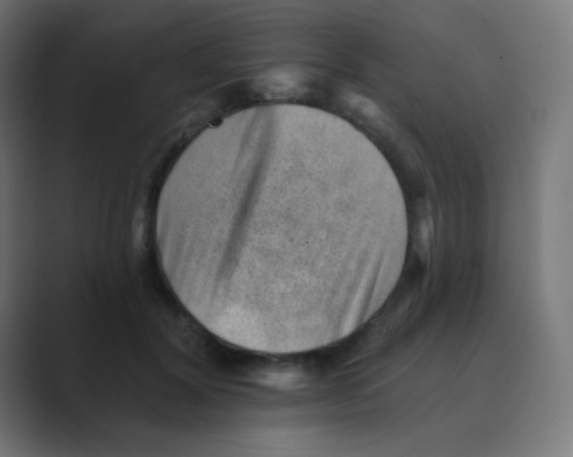 X0000088450604200706191312