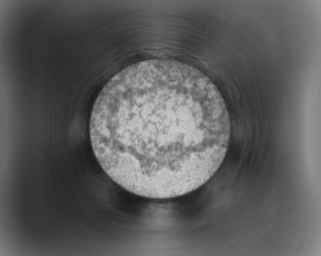 X0000088450606200706191312