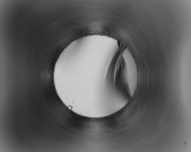 X0000088450608200706191312