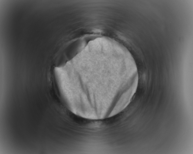 X0000088450609200706191312