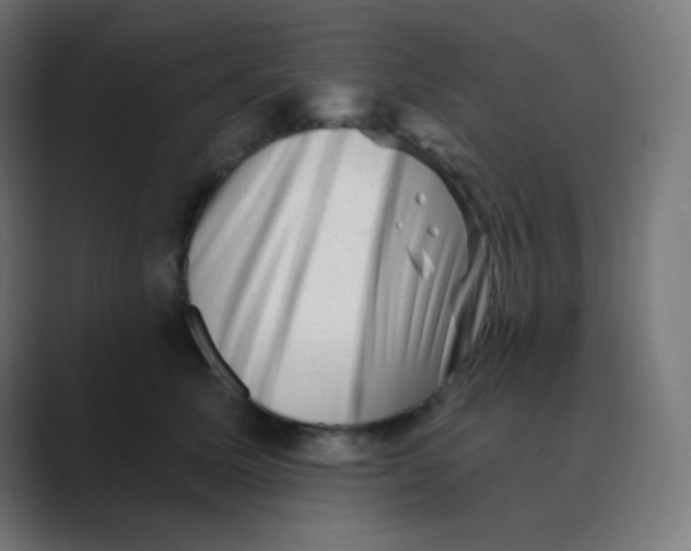 X0000088450611200706191312