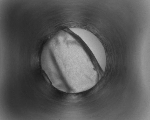 X0000088450613200706191312