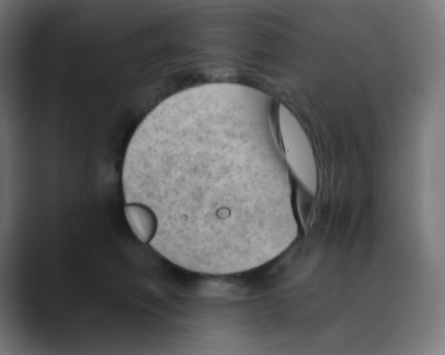 X0000088450614200706191312