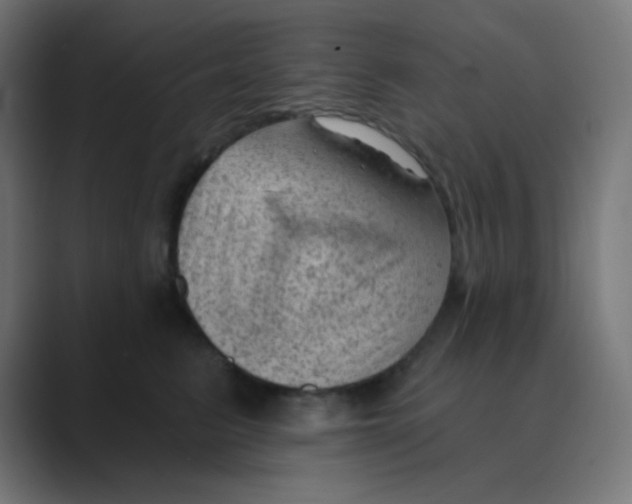 X0000088450615200706191312