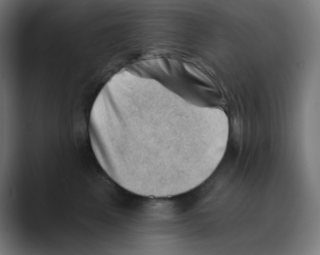 X0000088450617200706191312