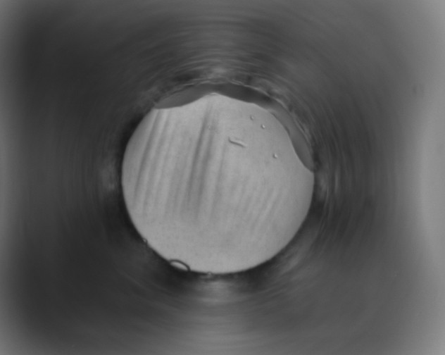 X0000088450620200706191312