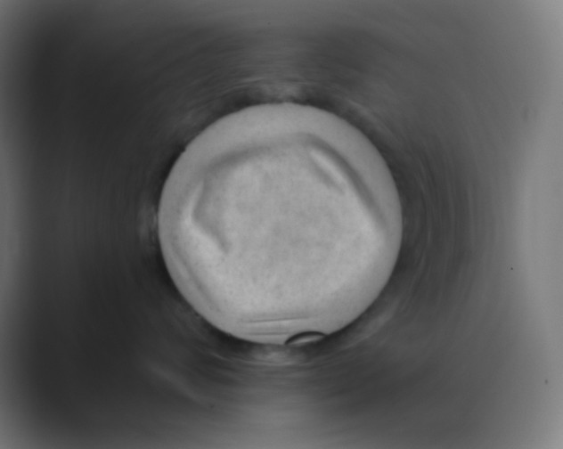 X0000088450624200706191312