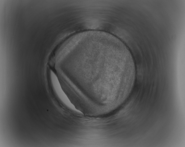 X0000088450626200706191312