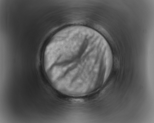 X0000088450628200706191312