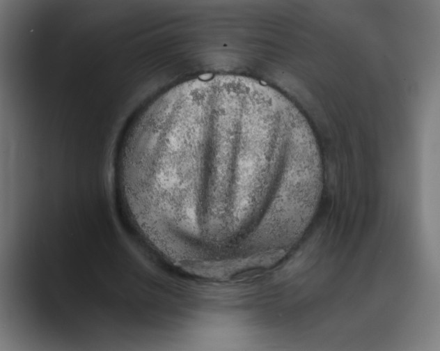 X0000088450630200706191312