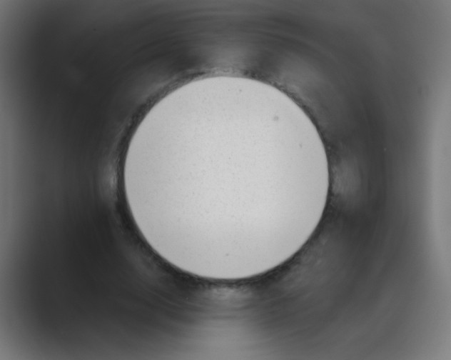 X0000088450632200706191312