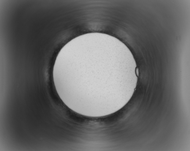 X0000088450635200706191312