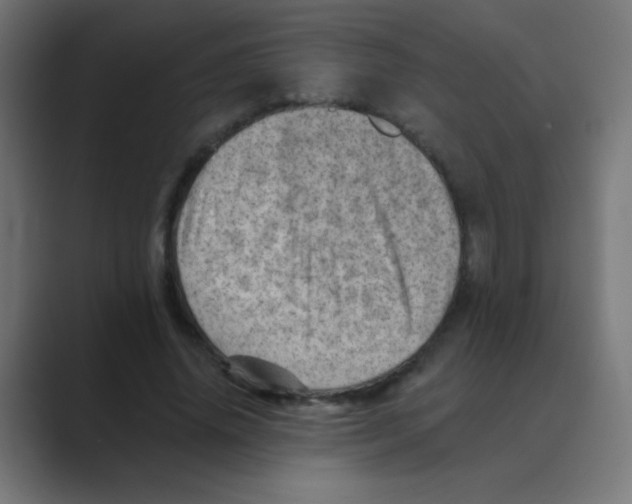 X0000088450636200706191312
