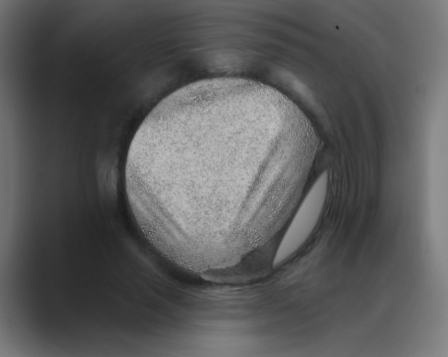 X0000088450637200706191312