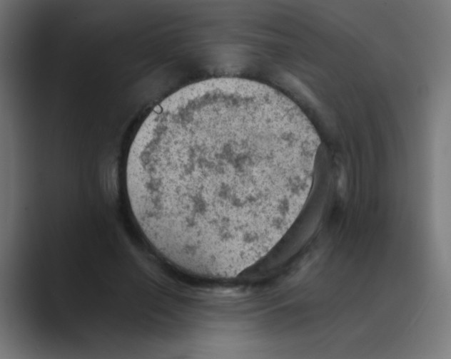 X0000088450638200706191312