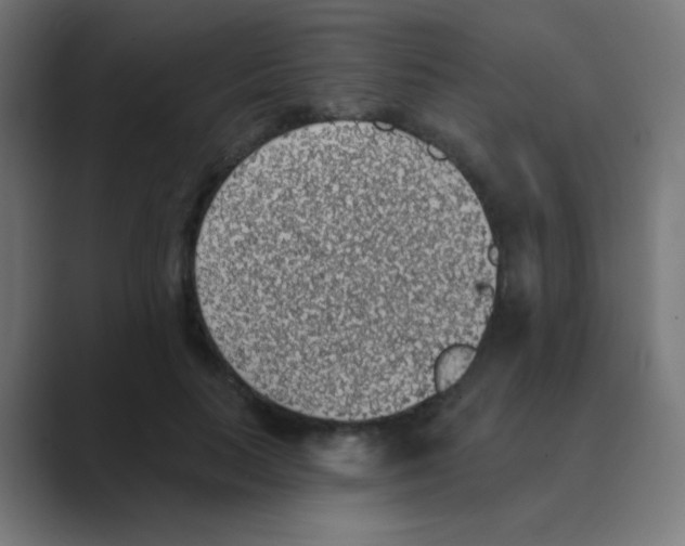 X0000088450647200706191312