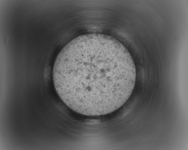 X0000088450649200706191312