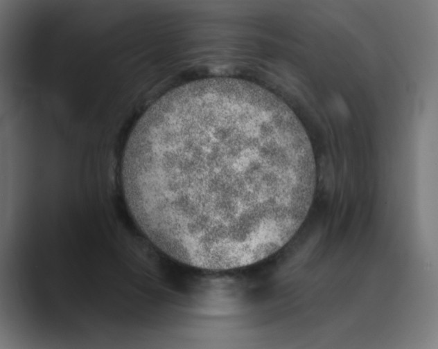 X0000088450650200706191312