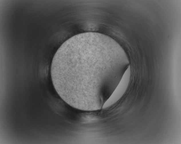 X0000088450652200706191312