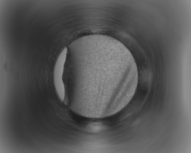 X0000088450653200706191312