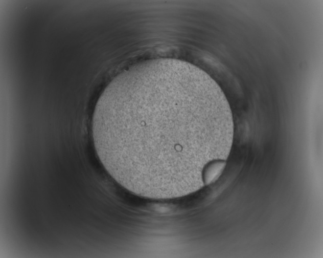 X0000088450654200706191312