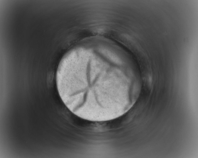 X0000088450660200706191312