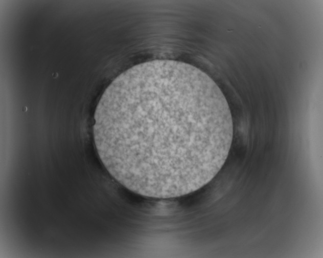 X0000088450663200706191312